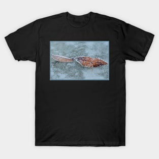 Leaves and Frost T-Shirt